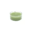 Zest Candle 1.5 In. Sage Green Tealight Candles (50-Pack)